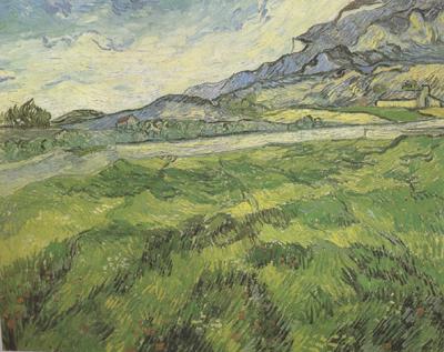 Vincent Van Gogh Green Wheat Field (nn04)